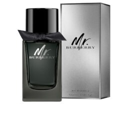 Perfume Mr Burberry Parfum