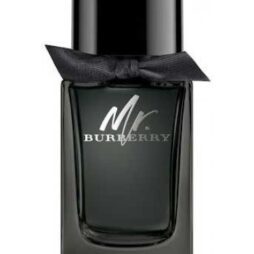 Perfume Mr Burberry Parfum 150 ML