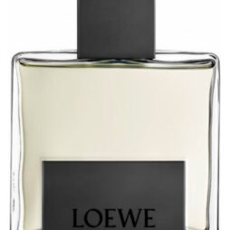 Perfume Solo Mercurio Loewe